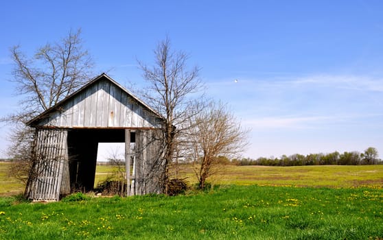 Barn tipping background