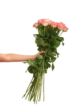 woman holding big fragrant bouquet of pink roses in the hands as a gift