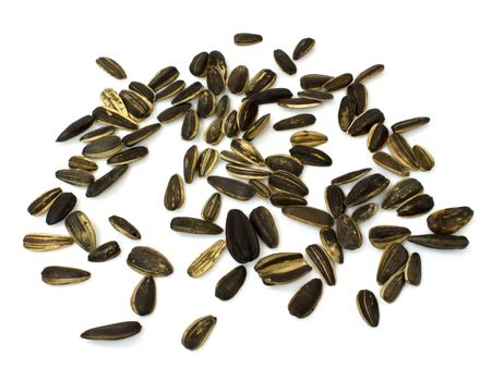 sunflower seeds isolated on white