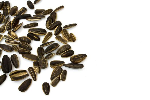 sunflower seeds isolated on white