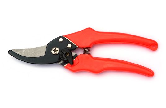 Red garden secateurs isolated on a white background 
