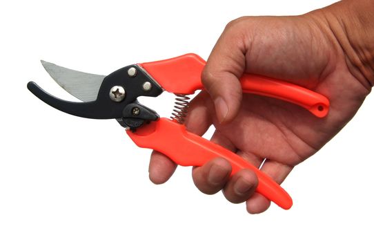 Garden scissors in hand isolated on a white background 