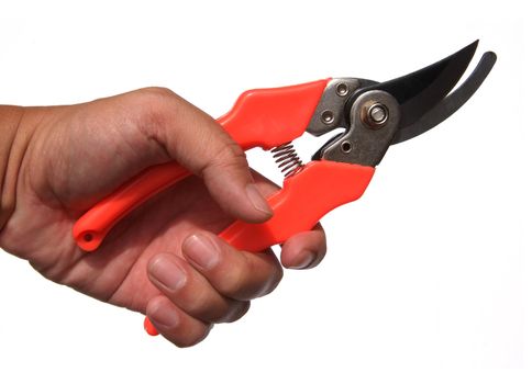 Garden scissors in hand isolated on a white background 