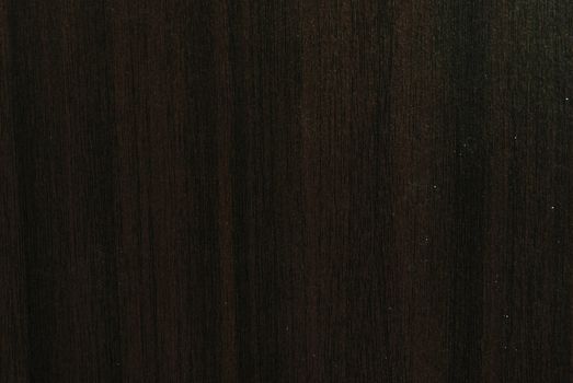 Background of wood texture