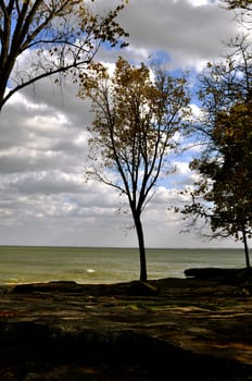 Rocks trees and water background