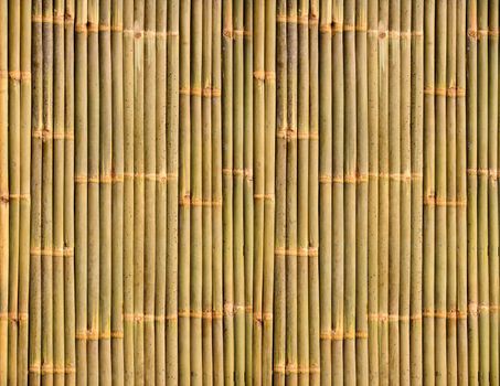 Bamboo texture