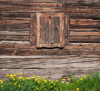Wooden textured wall and window, green grass foreground