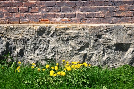 Brick and stone wall, grass and dandelions, sunny day spring view