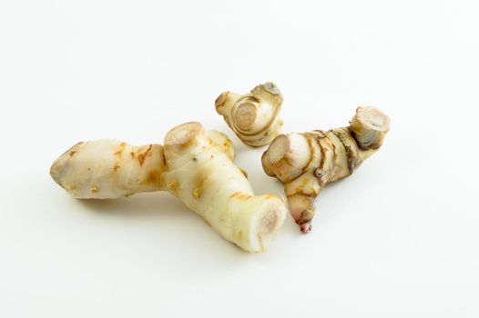 Galangal oil in isolated white background