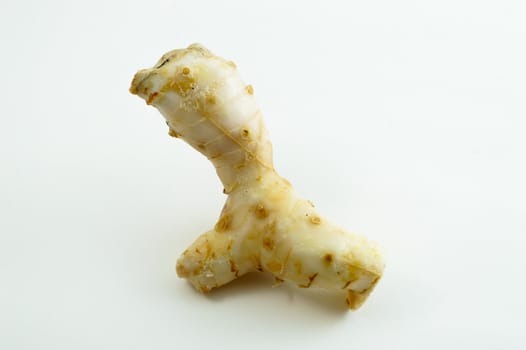 Galangal oil in isolated white background