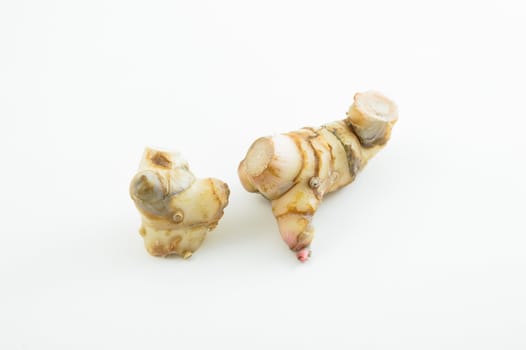 Galangal oil in isolated white background
