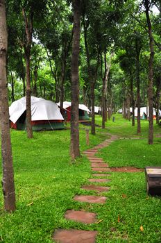 camping in the forest