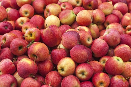 Close-up image of a stack of red apples as background