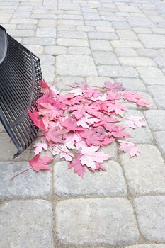 Raking Fallen Red Maple Tree Leaves from Backyard Stone Pavers Patio in Autumn Vertical