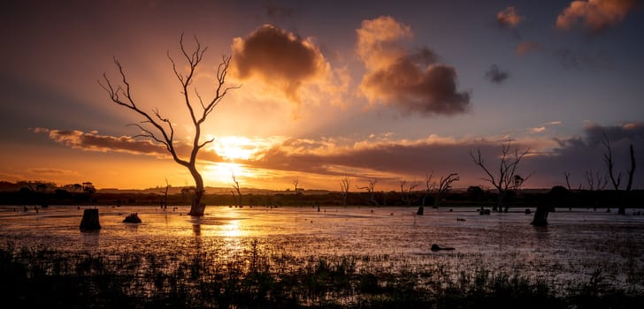 Gorgeous sunset over the wetlands.