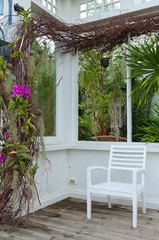 one wood bench in the summer garden