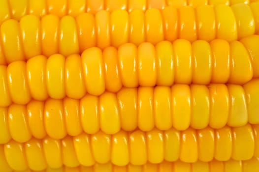 corn