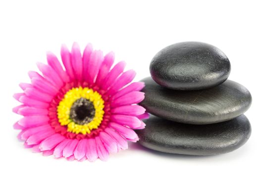 Pink and yellow flower and piled up pebbles on a white background