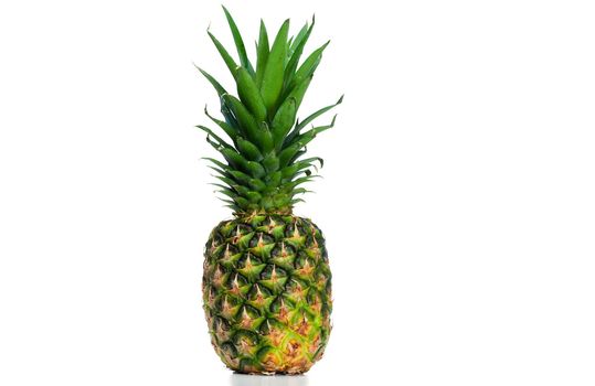 Pineapple upright on a white background