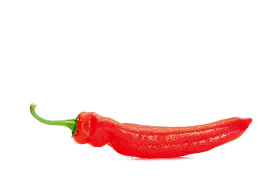 Red pepper on a white background