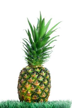 Pineapple on grass on a white background
