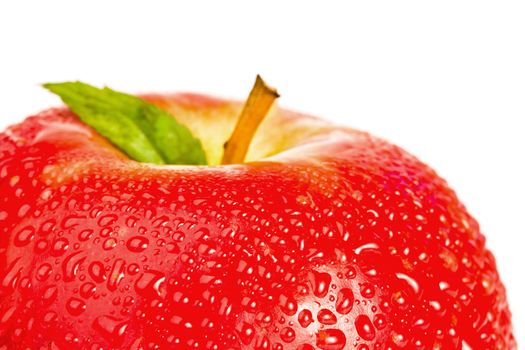 Top part of a red wet apple on a white background
