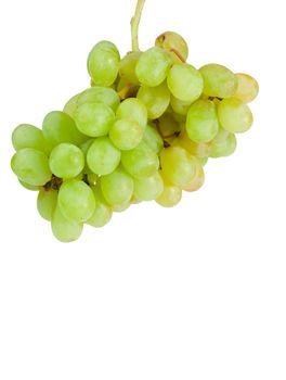Aloft grapes on a white background