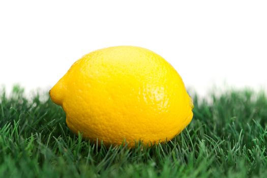 Yellow lemon on grass on a white background