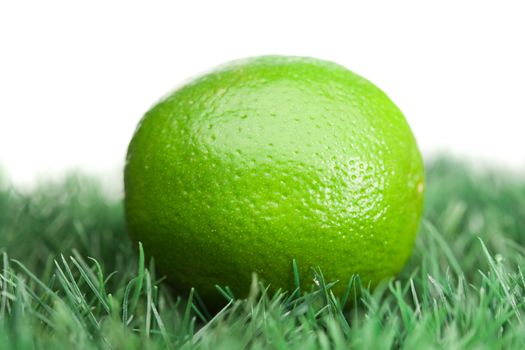 Green lemon on grass on a white background