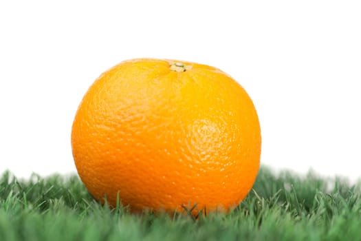 Orange on grass on a white background