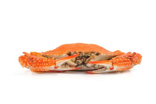 Steamed blue crabs