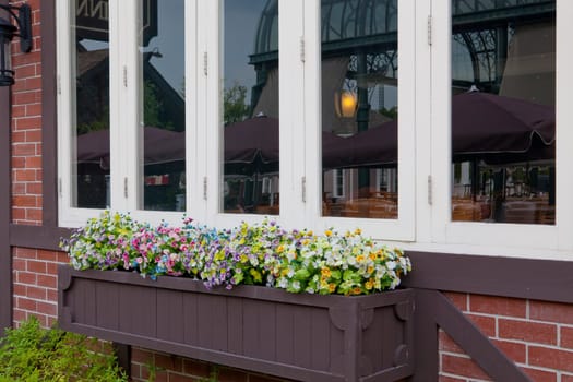 close-up window and flower in brick wall