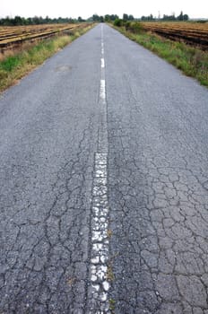 Cracked road