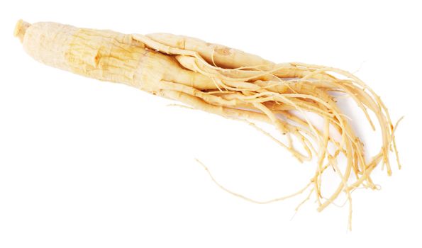 Ginseng (redberry) root, isolated on white background