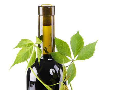 Bottle of red wine in green leaves, white background