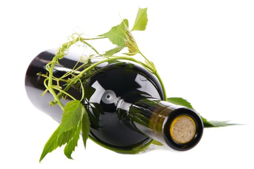 Bottle of wine in green leaves. white background