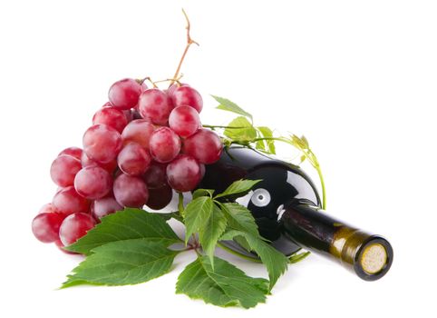 Bottle of red wine with grapes, white background