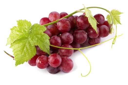 Red grapes with fresh leaves, isolated on white background