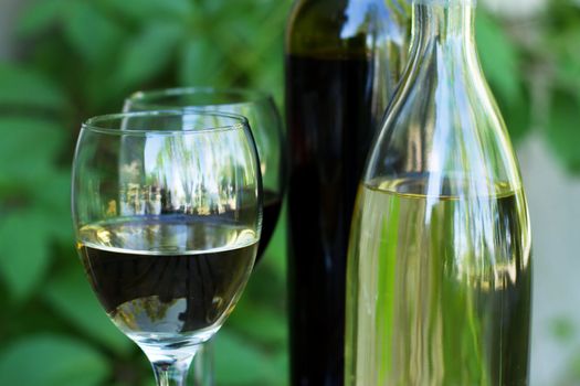 Bottles of red and white wine with grapes, in natural light