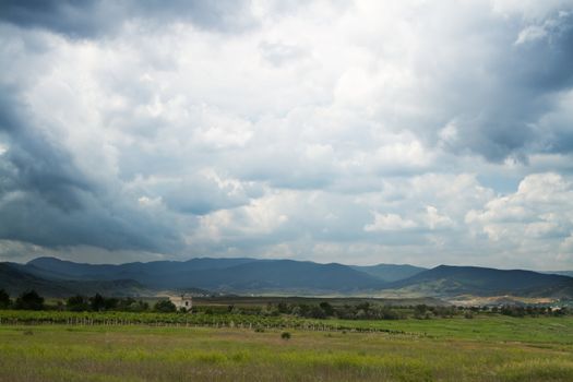 Vineyards with mountains on background on a sunny day