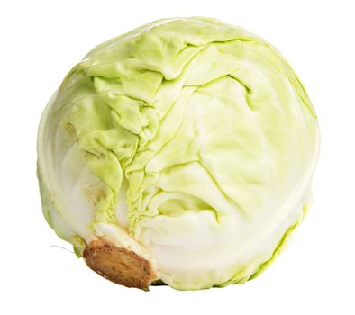 Cabbage over white background, closeup studio photo