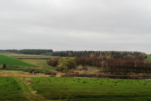 Countryside landscape