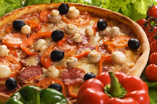 Closeup picture of a pizza with vegetables 