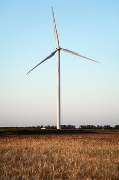 Wind power generator in a wheat field