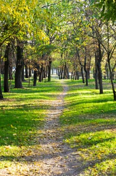 Beautiful lane in an autumn park