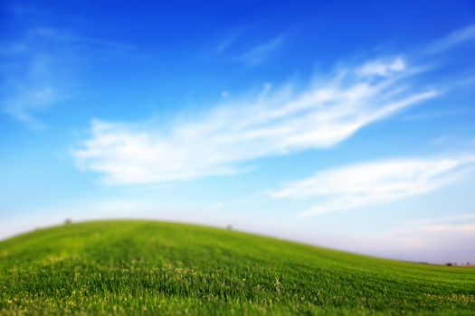 Blank landscape of green grass and blue sky