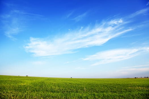 Blank landscape of green grass and blue sky