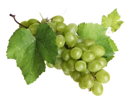 Fresh grapes isolated on white background, studio photo