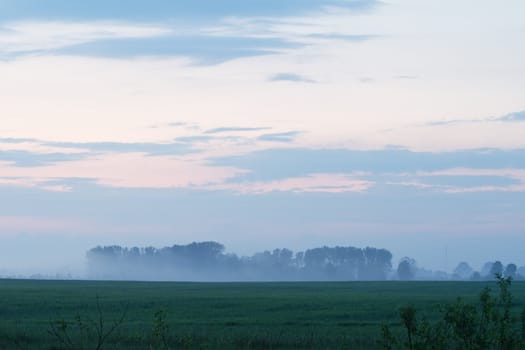 Misty evening landsacpe