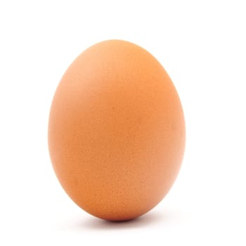 egg on white background